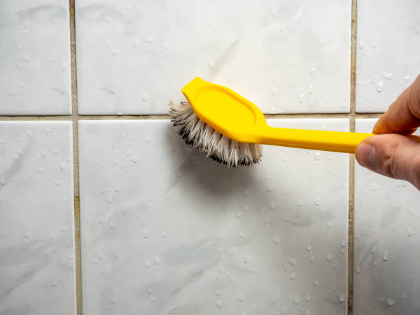 Best Best Mold Removal Companies  in Squaw Valley, CA