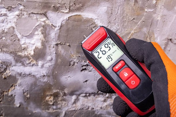 Best Affordable Mold Removal  in Squaw Valley, CA