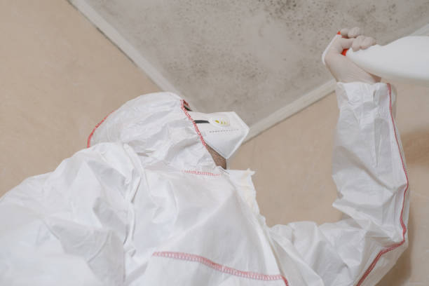 Best Best Mold Removal Companies  in Squaw Valley, CA