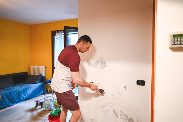 Best Office Mold Removal Services  in Squaw Valley, CA