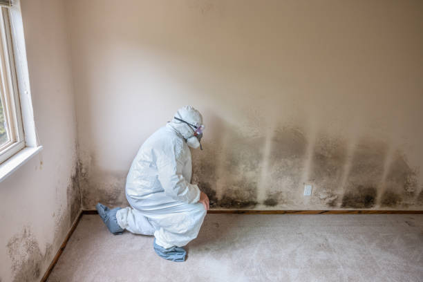 Best Professional Mold Removal  in Squaw Valley, CA