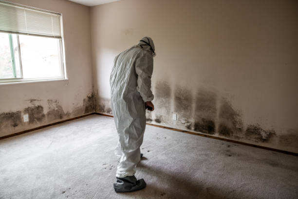 Best Water Damage Restoration  in Squaw Valley, CA