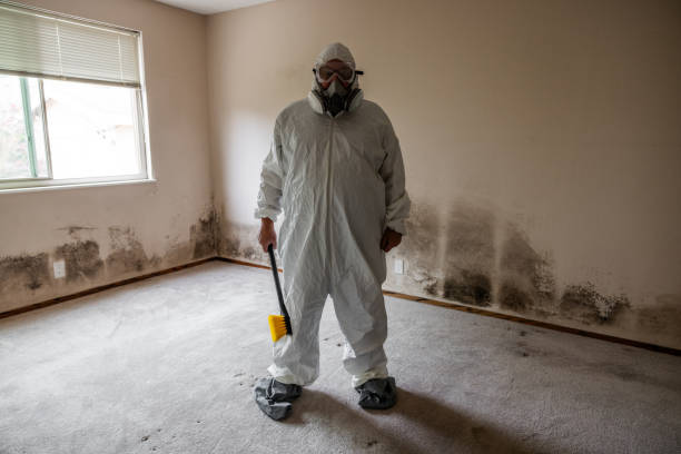 Best Mold Remediation Experts  in Squaw Valley, CA
